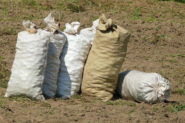 Von shopper bis crossbody: Welche tasche passt zu deinem alltag?